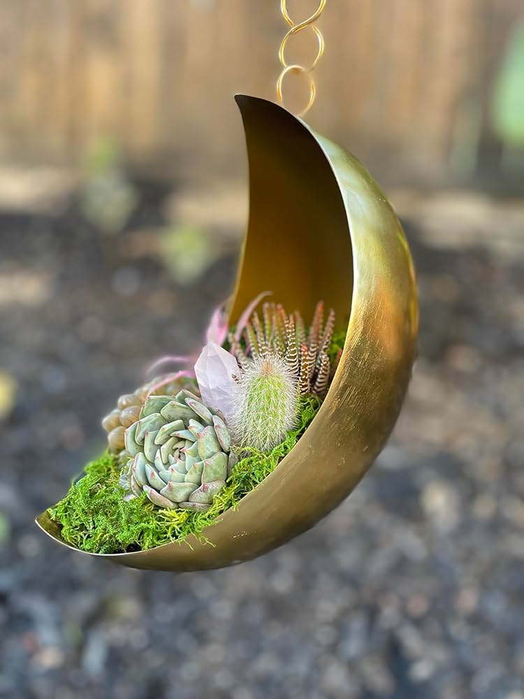 鉢・プランター spicygem Meteorite BOWL pot ver APOLLO Meteorite BOWL var. APOLLO – GAHGA
